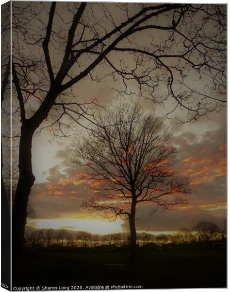 The Tree Of Life Canvas Print by Photography by Sharon Long 