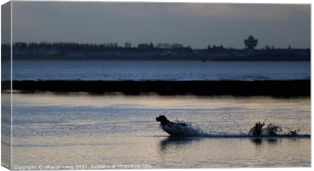 Walks at Sunset along New Brighton Shore Canvas Print by Photography by Sharon Long 