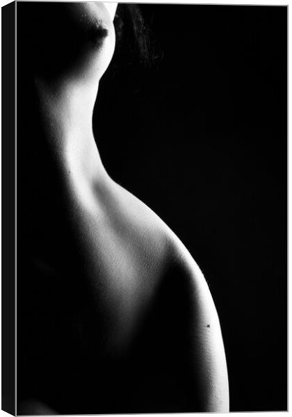 Nude woman bodyscape Canvas Print by Alessandro Della Torre