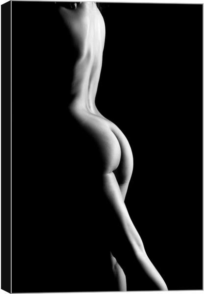nude woman back and ass fine art bodyscape Canvas Print by Alessandro Della Torre