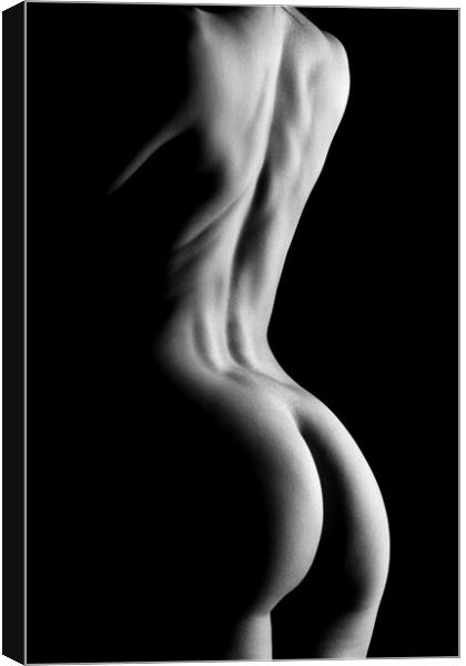 nude standing bodyscape of woman's ass and back Canvas Print by Alessandro Della Torre
