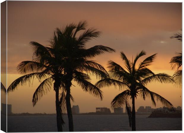 A group of palm trees on a beach near the ocean on the red sunset Canvas Print by Alessandro Della Torre