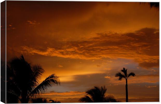 A palm tree in front of a sunset Canvas Print by Alessandro Della Torre