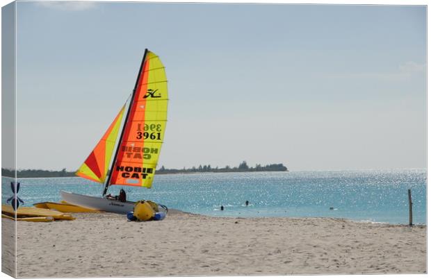 A boat sitting on top of a sandy beach next to the ocean Canvas Print by Alessandro Della Torre