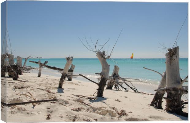 sandy beach with white sand in front of the ocean Canvas Print by Alessandro Della Torre