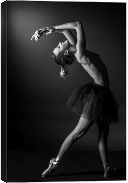 nude balllerina classic dancer doing classical dan Canvas Print by Alessandro Della Torre