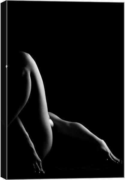 nude bodyscape of woman legs Canvas Print by Alessandro Della Torre