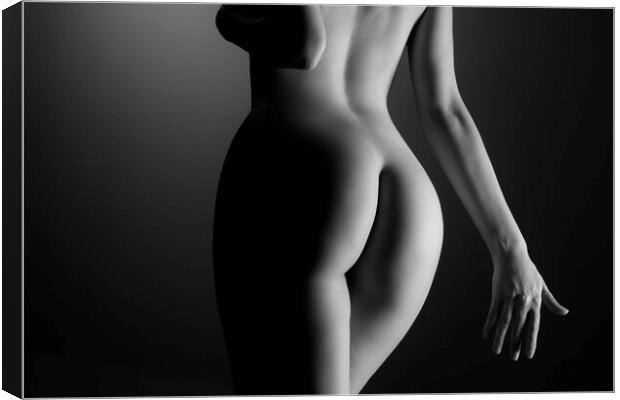 Nude woman body Canvas Print by Alessandro Della Torre
