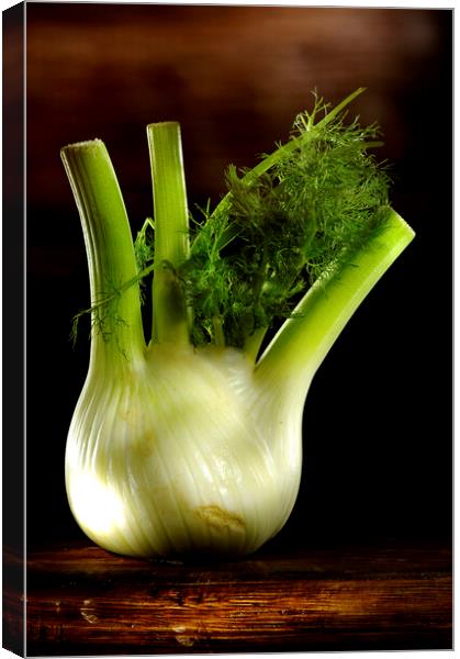 a green fennel on a wood table Canvas Print by Alessandro Della Torre