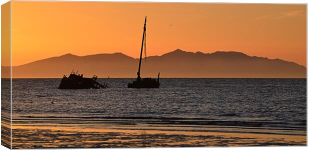 Kaffir shipwreck Ayr at sunset Canvas Print by Allan Durward Photography
