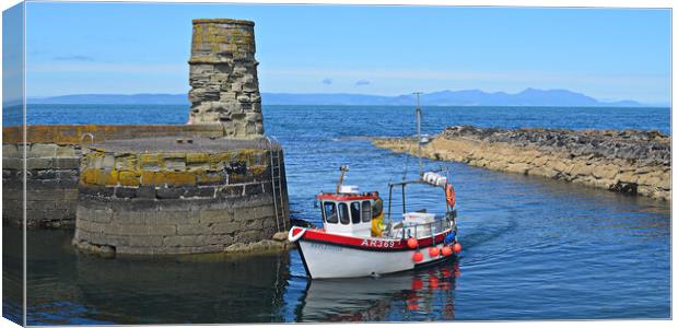 Dunure harbour arrival Canvas Print by Allan Durward Photography