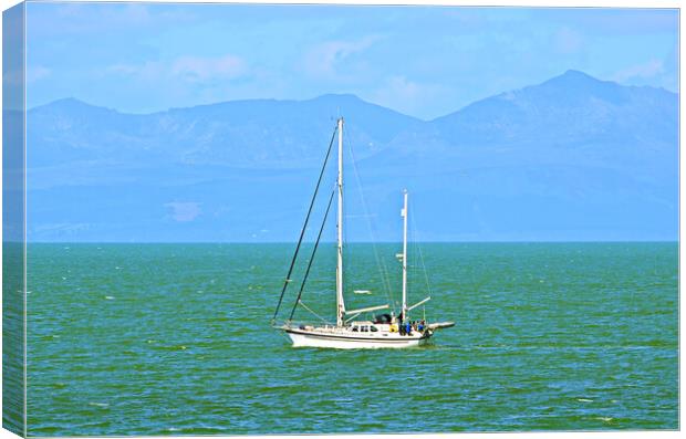 The green seas of ??? Canvas Print by Allan Durward Photography