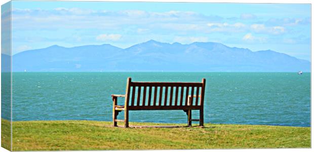 Arran mountain view from Troon bench Canvas Print by Allan Durward Photography