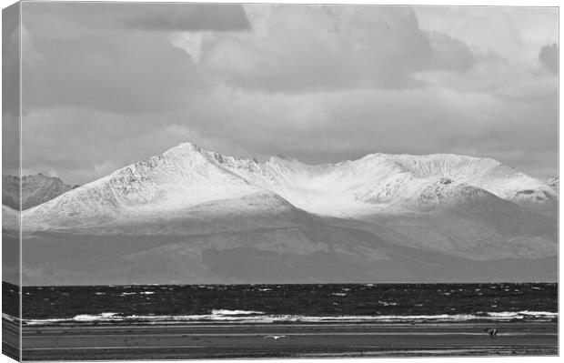 Isle of Arran mountains mono Canvas Print by Allan Durward Photography