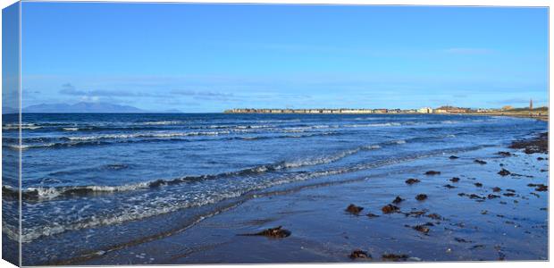 View of Troon south beach and Arran Canvas Print by Allan Durward Photography