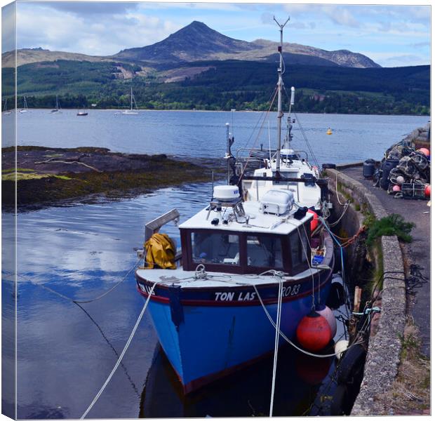 Brodick fishing boats Canvas Print by Allan Durward Photography
