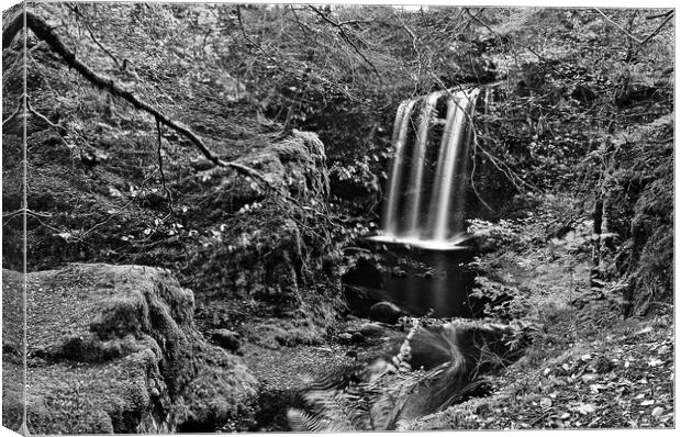 Dalcairney waterfall, East Ayrshire. Canvas Print by Allan Durward Photography