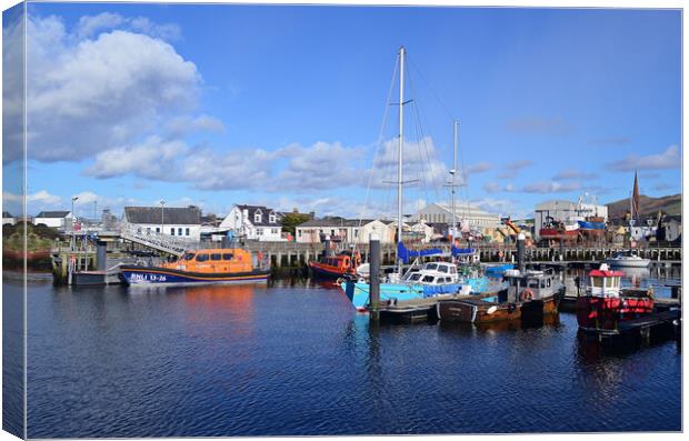 Girvan harbour Ayrshire Scotland Canvas Print by Allan Durward Photography