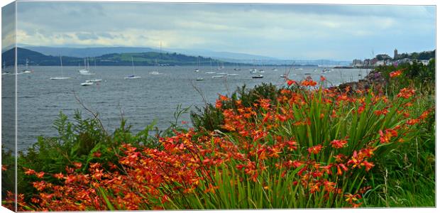 Flowers on the bank of the Clyde at Gourock Canvas Print by Allan Durward Photography