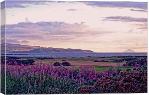 Ayrshire coast from Prestwick Canvas Print by Allan Durward Photography