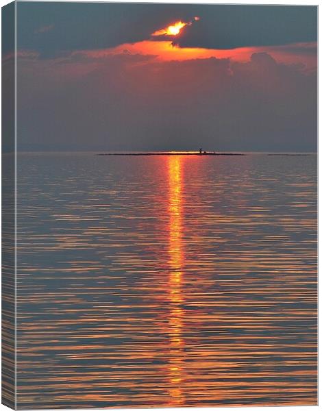 Reflecting sun Canvas Print by Allan Durward Photography