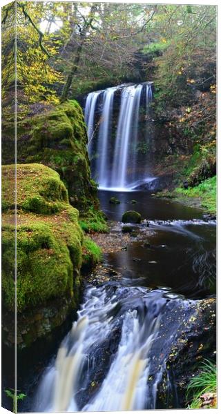 Ayrshire waterfall, Dalcairney falls, Dalmellingto Canvas Print by Allan Durward Photography