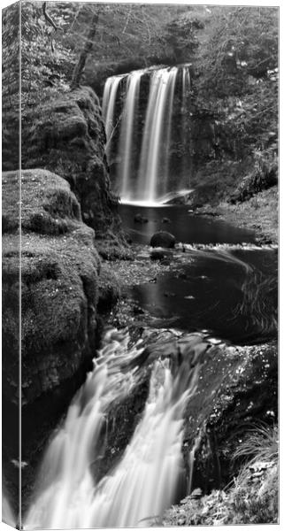 Dalcairney Falls, Dalmellington Canvas Print by Allan Durward Photography
