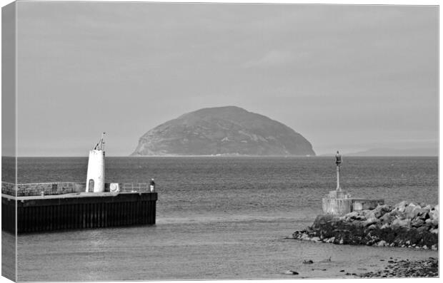 Girvan harbour,  Ayrshire, and Ailsa Craig Canvas Print by Allan Durward Photography