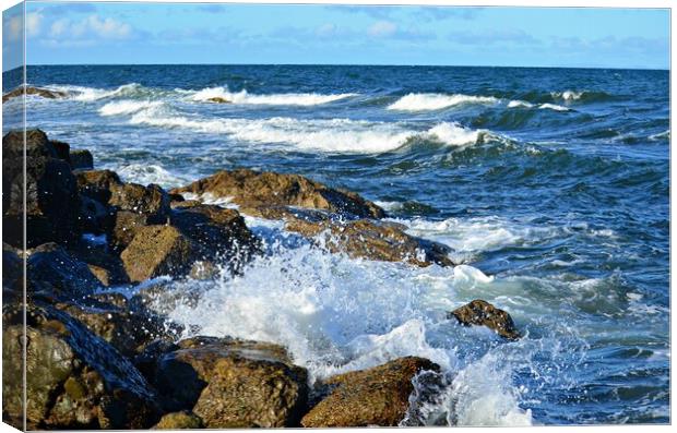 Rocky coastline at Dunure South Ayrshire. Canvas Print by Allan Durward Photography