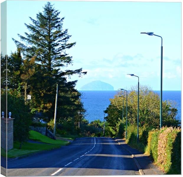 Road with a view  Canvas Print by Allan Durward Photography