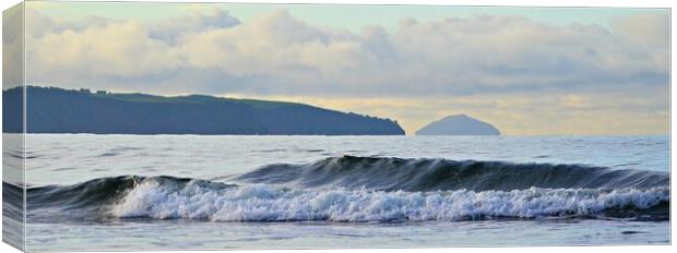 A wave from Ayr Canvas Print by Allan Durward Photography