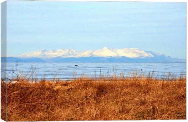 A wintry Arran mountain view Canvas Print by Allan Durward Photography