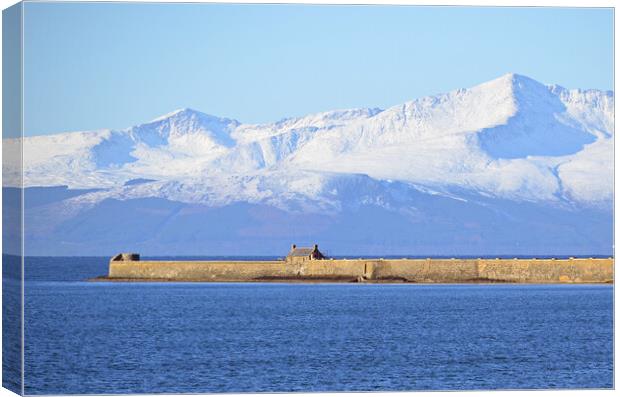 Arran mountains and Saltcoats harbour Canvas Print by Allan Durward Photography