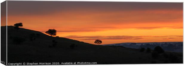 Three tree silhouette sunset Canvas Print by Stephen Morrison