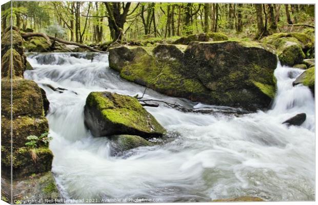 White Water On The River Fowey. Canvas Print by Neil Mottershead