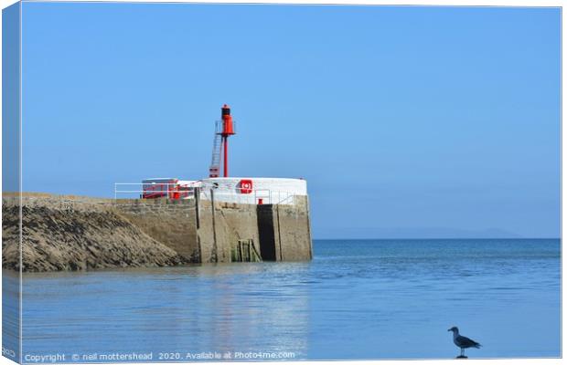 A Seagull Surveys The Banjo Pier At Looe Canvas Print by Neil Mottershead
