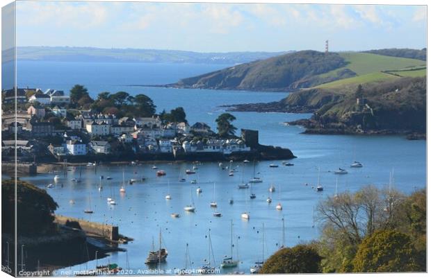 Polruan, Fowey Harbour & Gribbin Head. Canvas Print by Neil Mottershead