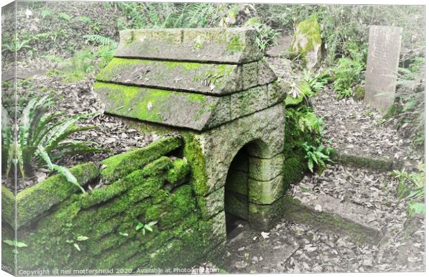 The Holy Well Of St Keyne , Cornwall. Canvas Print by Neil Mottershead