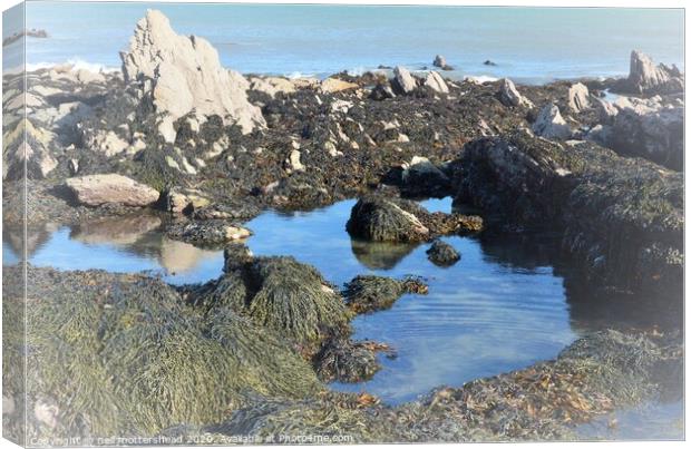 Rock Pool Reflections. Canvas Print by Neil Mottershead