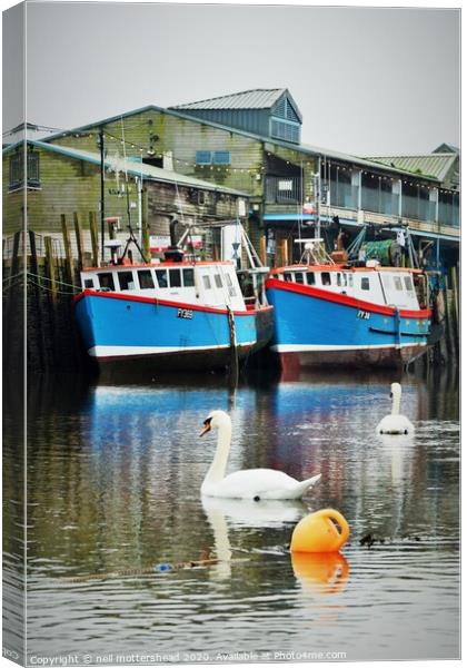 Swans And Trawlers. Canvas Print by Neil Mottershead