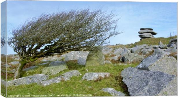 The Cheesewring, Bodmin Moor, Cornwall. Canvas Print by Neil Mottershead