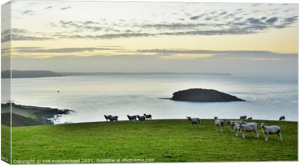 Dawn Over Looe Bay. Canvas Print by Neil Mottershead