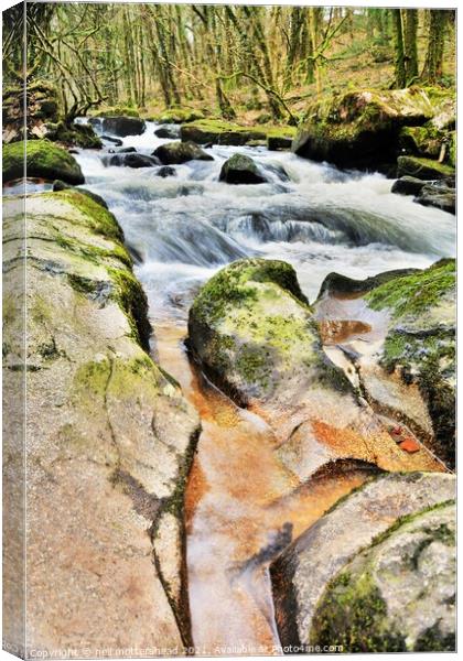 White Water On The River Fowey. Canvas Print by Neil Mottershead