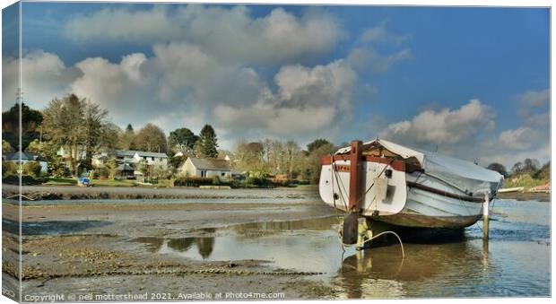 High & Dry In Lerryn, Cornwall. Canvas Print by Neil Mottershead