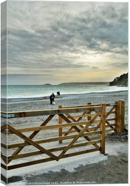 Gateway To Seaton Beach, Cornwall. Canvas Print by Neil Mottershead
