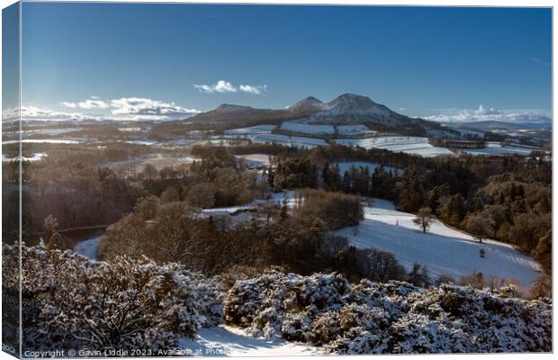 Scotts View, Scottish Borders, in the snow Canvas Print by Gavin Liddle