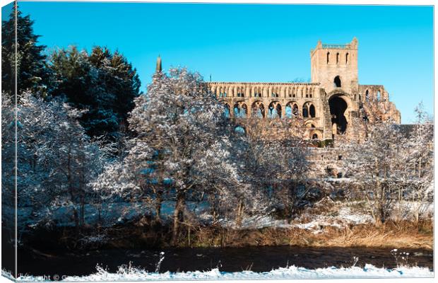 Jedburgh Abbey, Scottish Borders Canvas Print by Gavin Liddle