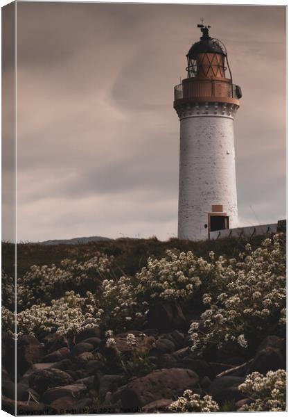Tobermory Lighthouse Canvas Print by Gavin Liddle