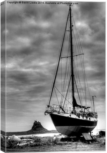  Tall Ship at Holy Island Canvas Print by Gavin Liddle