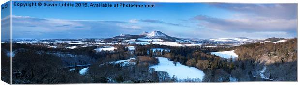  Scotts View at Sunrise Panorama Canvas Print by Gavin Liddle